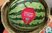 sandia-anecoop