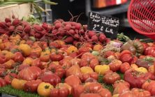 tomates-Marruecosok-1020x600