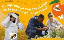 abejas-dia-mundial