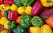 curso-alimentos-calidad-1100x600