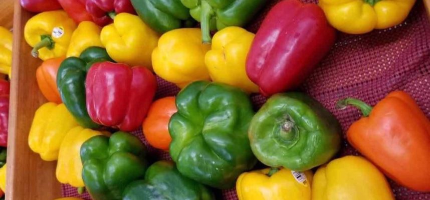 curso-alimentos-calidad-1100x600