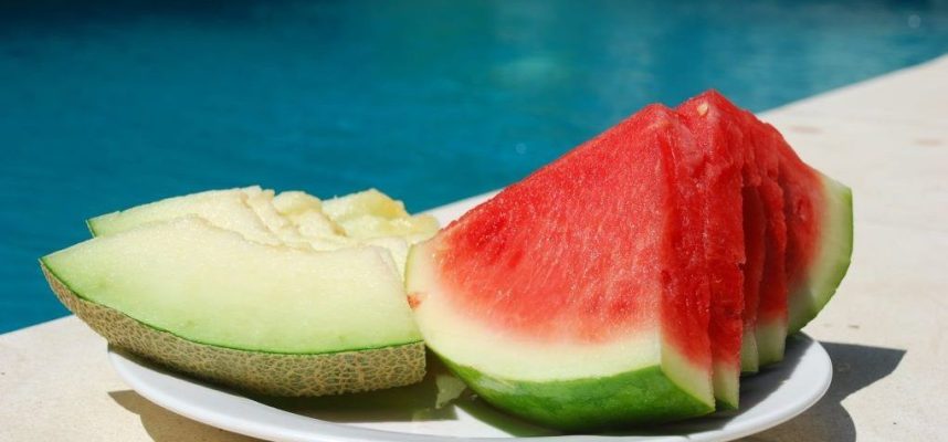 sandía-y-melón-home-1020x600