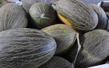 melones