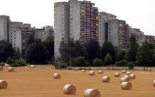 campo-y-ciudad