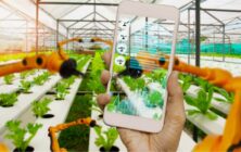 inteligencia-artificial-y-agricultura