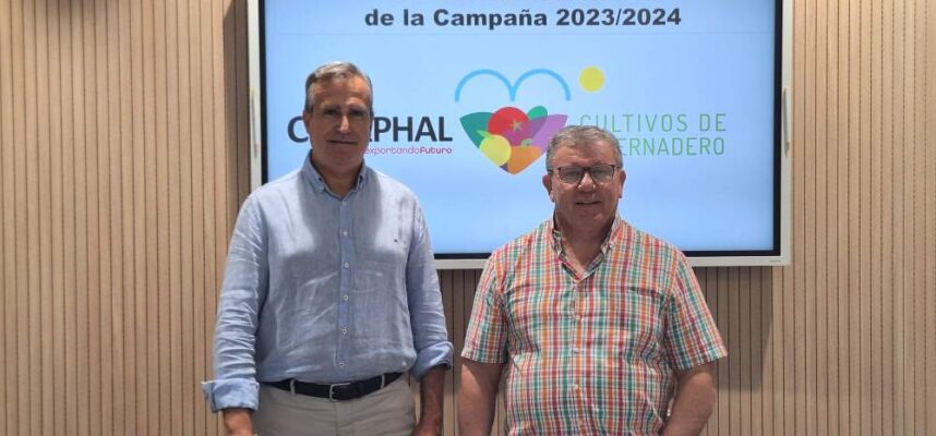 presetacion-avance-campana