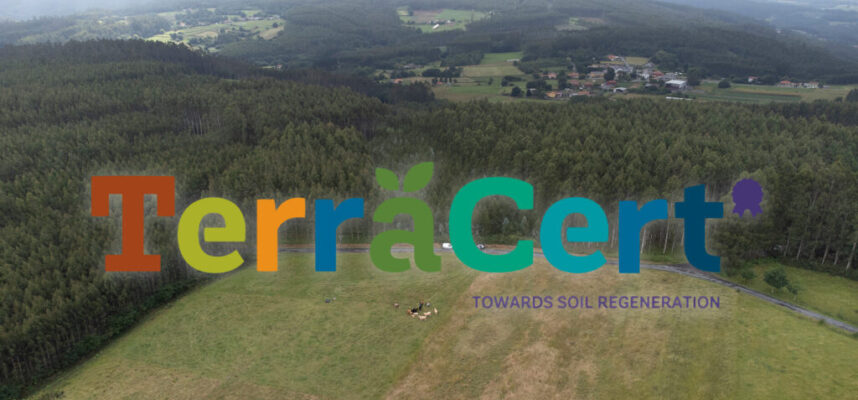 terracert-foto-acorunha-alta-e1721130355378