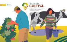 Programa Cultiva 2024