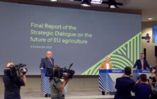 informe-dialogo