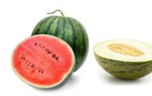 melon-sandia