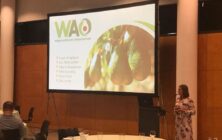 congreso-avocado