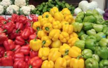 exportacion-frutas-y-hortalizas-1020x600
