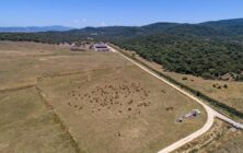 foto-ecologico