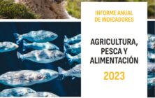 informeindicadores2023_tcm30-694253