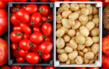 patatas-tomates-importacion