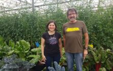 Biocontrol dos continentes