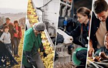 consejo-europeo-agro