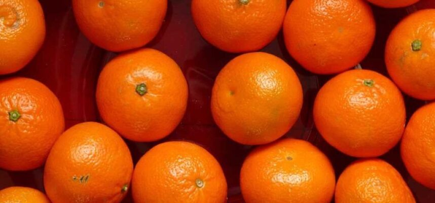 naranjas-Turquia-e1709571643131