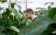 Consejería de Agricultura