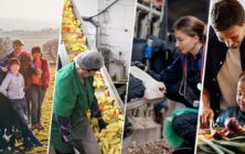 Comte-Europeo-Agricultura-y-Alimentacion