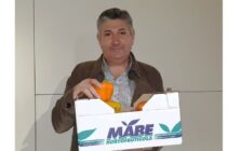 Antonio Ruiz_MABE