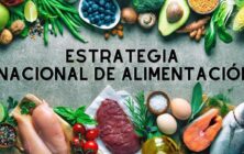 estrategia-alimentacion