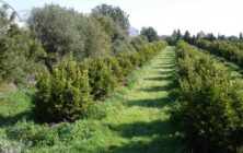 superficie-ecologica-002