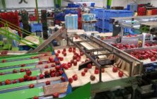 Exportacion_almacen
