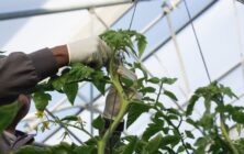 Nueva-linea-de-financiacion-de-Cajamar-para-agricultores-1