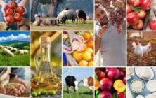 mercado-agroalimentario_UE