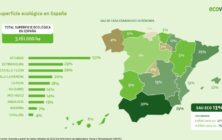 superficie-eco