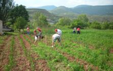 Ayudas-Cooperativismo