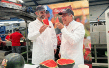 consejero-caparros-sandia