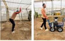 Carga-postural