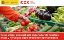 ICEX-Reino-Unido