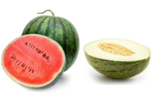 Melon y sandia