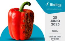 jornada-parvispinus-2