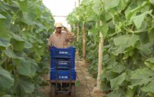 trabajador-inverandero-1024x600