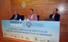 Curso de verano UAL