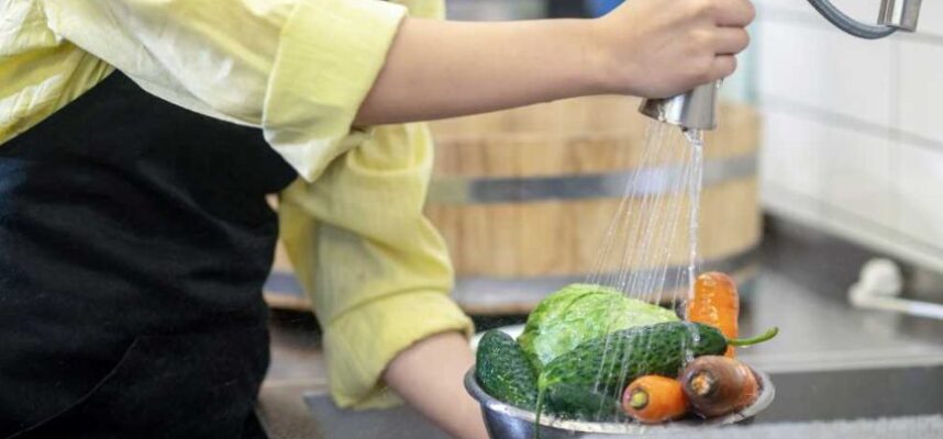 Higiene_seguridad-alimentaria