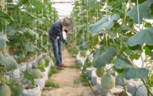 Joven agricultor