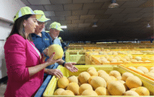 Melón-Gregal-Murcia