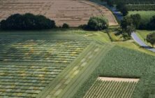 campo-e1718129462843