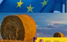 18.08.2025-Modificacion-PEPAC