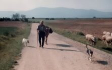 CARRUSEL NOTICIAS - 1