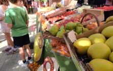 reparto-de-fruta-Murcia-