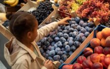 chico-tiro-medio-eligiendo-fruta