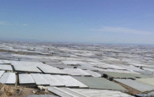 invernaderos-almeria