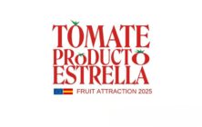 tomate-producto-estrella
