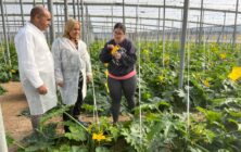 AYUDAS-JOVENES-AGRI-2-002